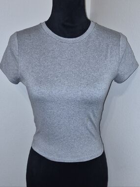 Hollister Heather Gray Slim Crewneck Short-Sleeve Tee